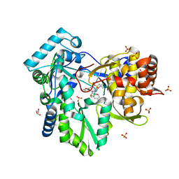 BU of 3hkw by Molmil