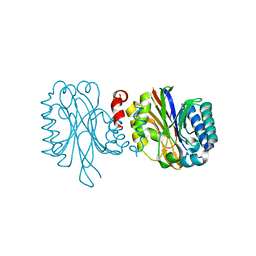 BU of 3hkx by Molmil