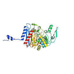 BU of 3hlc by Molmil