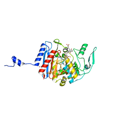 BU of 3hld by Molmil