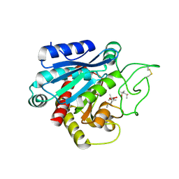 BU of 3hlp by Molmil