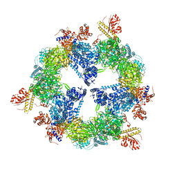 BU of 3hmj by Molmil