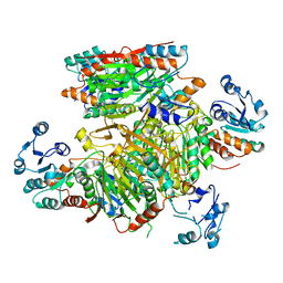 BU of 3hnp by Molmil