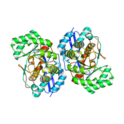 BU of 3hpf by Molmil