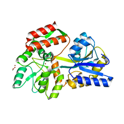 BU of 3hpi by Molmil