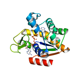 BU of 3hpr by Molmil