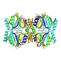 AU of 3hpv by Molmil