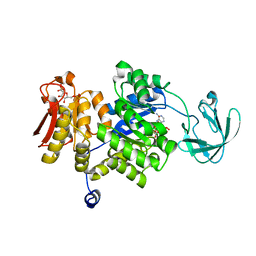 BU of 3hqp by Molmil