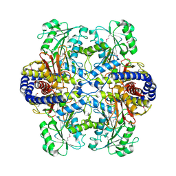 BU of 3ht4 by Molmil