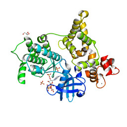 BU of 3hx4 by Molmil