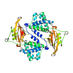AU of 3i1v by Molmil