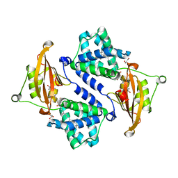 AU of 3i1x by Molmil