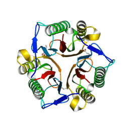 BU of 3i3f by Molmil