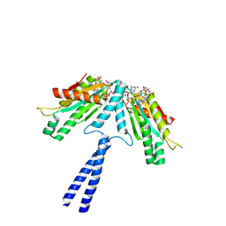 BU of 3i5c by Molmil