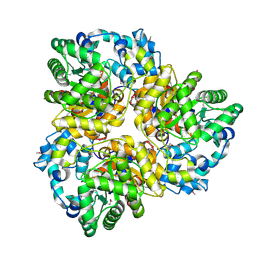 BU of 3iac by Molmil