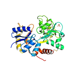 BU of 3ib2 by Molmil