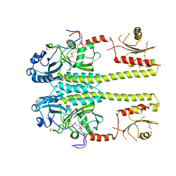 BU of 3ibr by Molmil