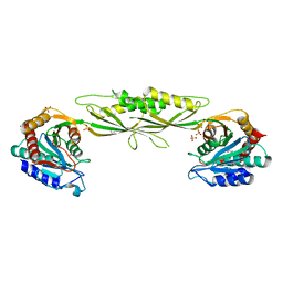 BU of 3ic1 by Molmil