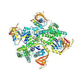 BU of 3ic8 by Molmil