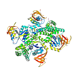 AU of 3ic8 by Molmil