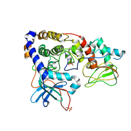 BU of 3idc by Molmil