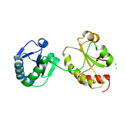 BU of 3idv by Molmil