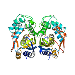 AU of 3ihh by Molmil