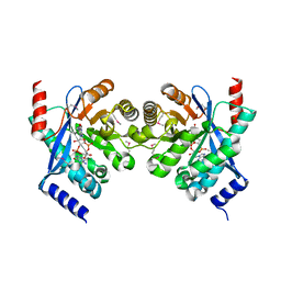 AU of 3ii8 by Molmil