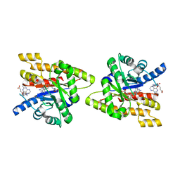 BU of 3ijd by Molmil