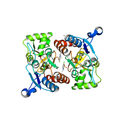 BU of 3il1 by Molmil