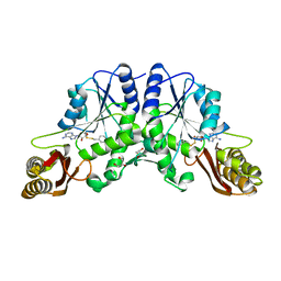 BU of 3ioc by Molmil