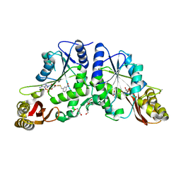 BU of 3iod by Molmil