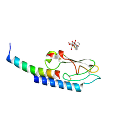 BU of 3iol by Molmil