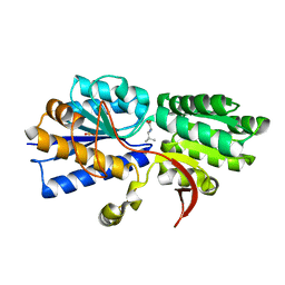 BU of 3ipc by Molmil