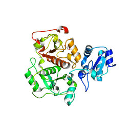 BU of 3ipp by Molmil