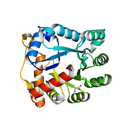 BU of 3ipw by Molmil