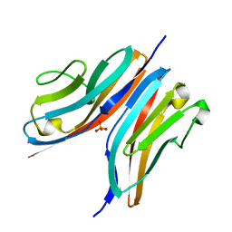 AU of 3irg by Molmil