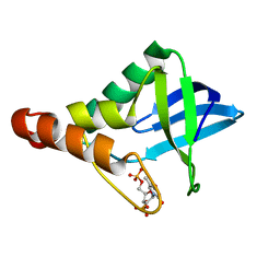 BU of 3itp by Molmil