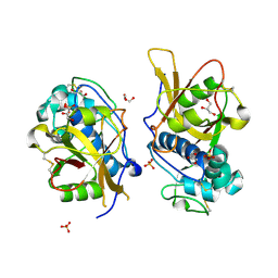 BU of 3iv2 by Molmil