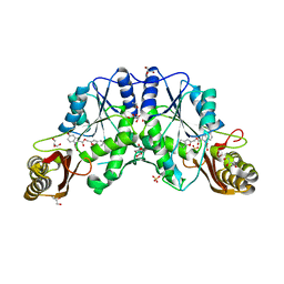 BU of 3ivc by Molmil