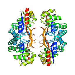 BU of 3iwp by Molmil