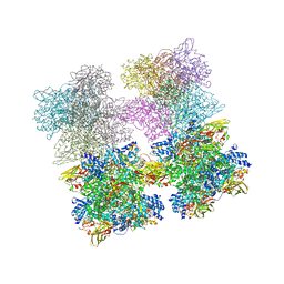 BU of 3ixv by Molmil