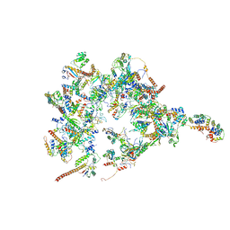 AU of 3iz5 by Molmil