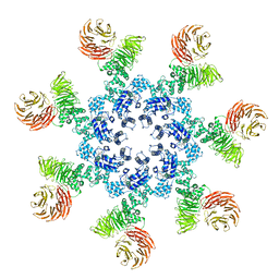 AU of 3iza by Molmil