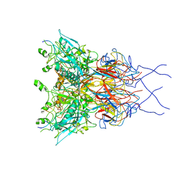 BU of 3izo by Molmil