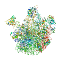 AU of 3izt by Molmil