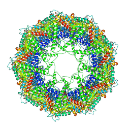 BU of 3j1c by Molmil