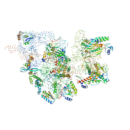 AU of 3j6v by Molmil