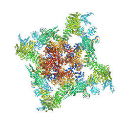 AU of 3j8e by Molmil