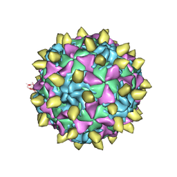 BU of 3jbc by Molmil